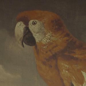 成人免费观看一区二区
